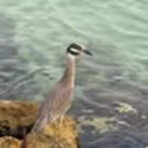 Meet your Posher, Dee